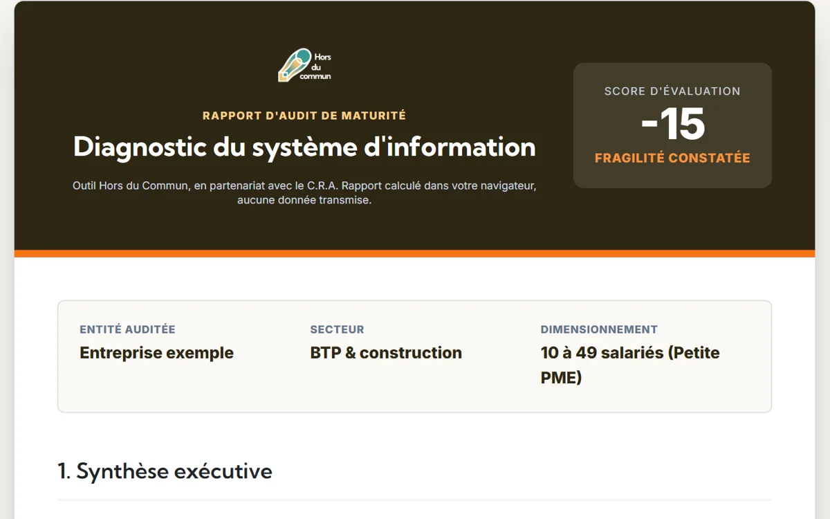 Rapport de l'audit en ligne du système d'information : score, entité auditée, synthèse