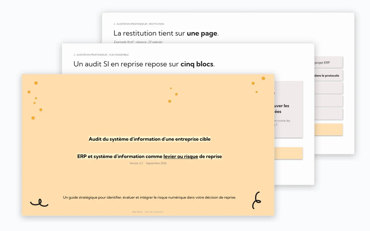 Pages du guide PDF : couverture, les cinq blocs de l'audit, la restitution sur une page